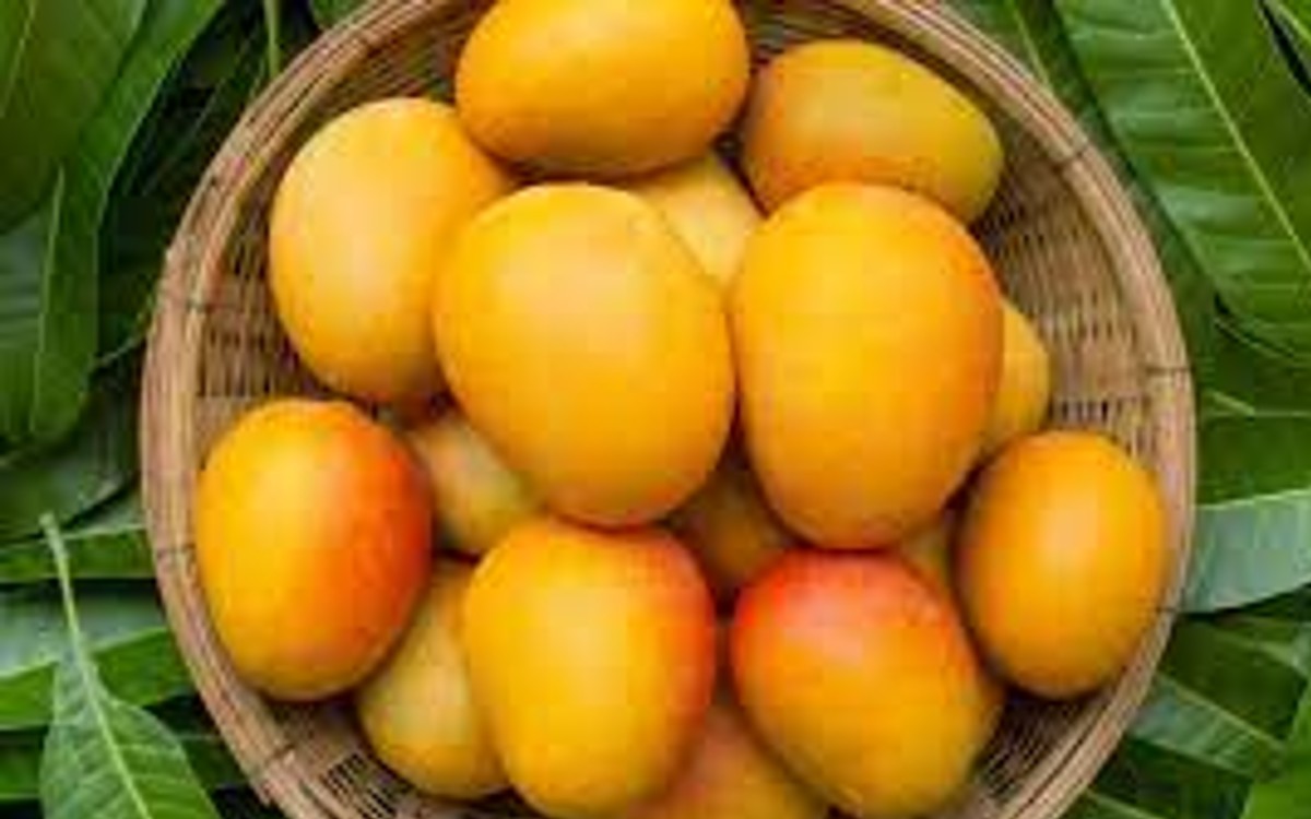 mangoes cost 31 thousand
