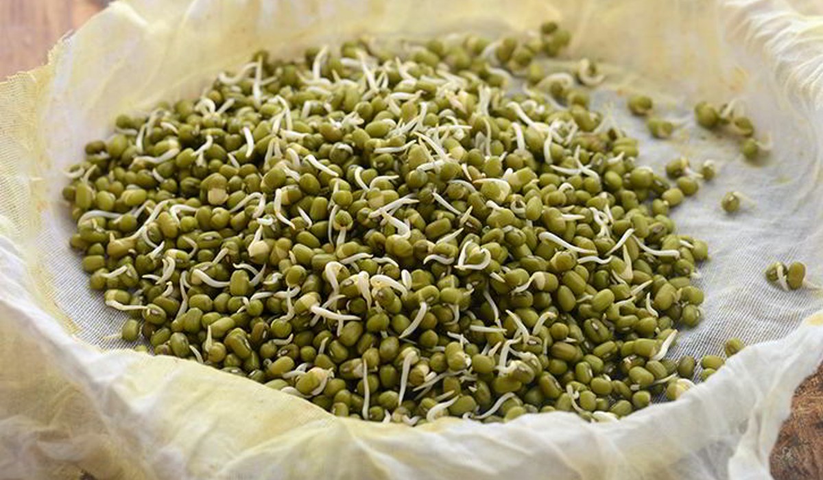 health benefits of eating moong dal sprouts