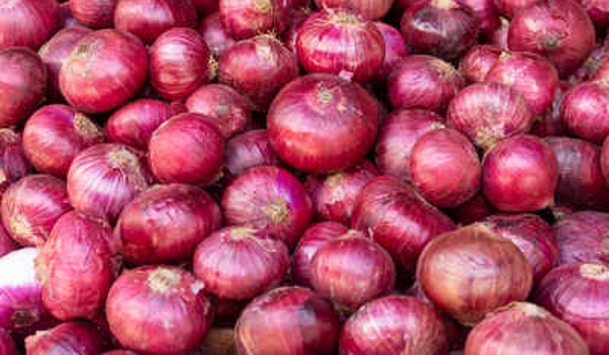 benefits of eating onions and health tips