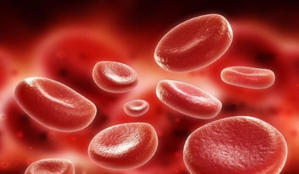 Important details to increase platelets count