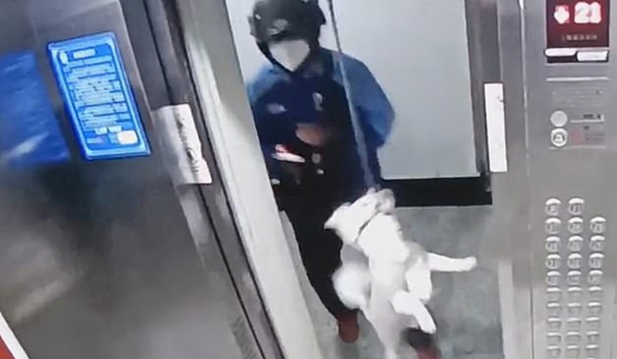 MAN SAVES DOG WHOSE LEASH GOT STUCK IN ELEVATOR IN VIRAL VIDEO