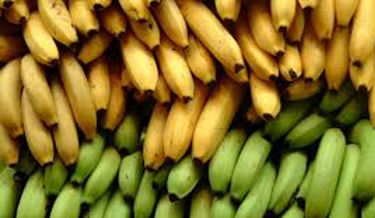 banana uses for health in telugu