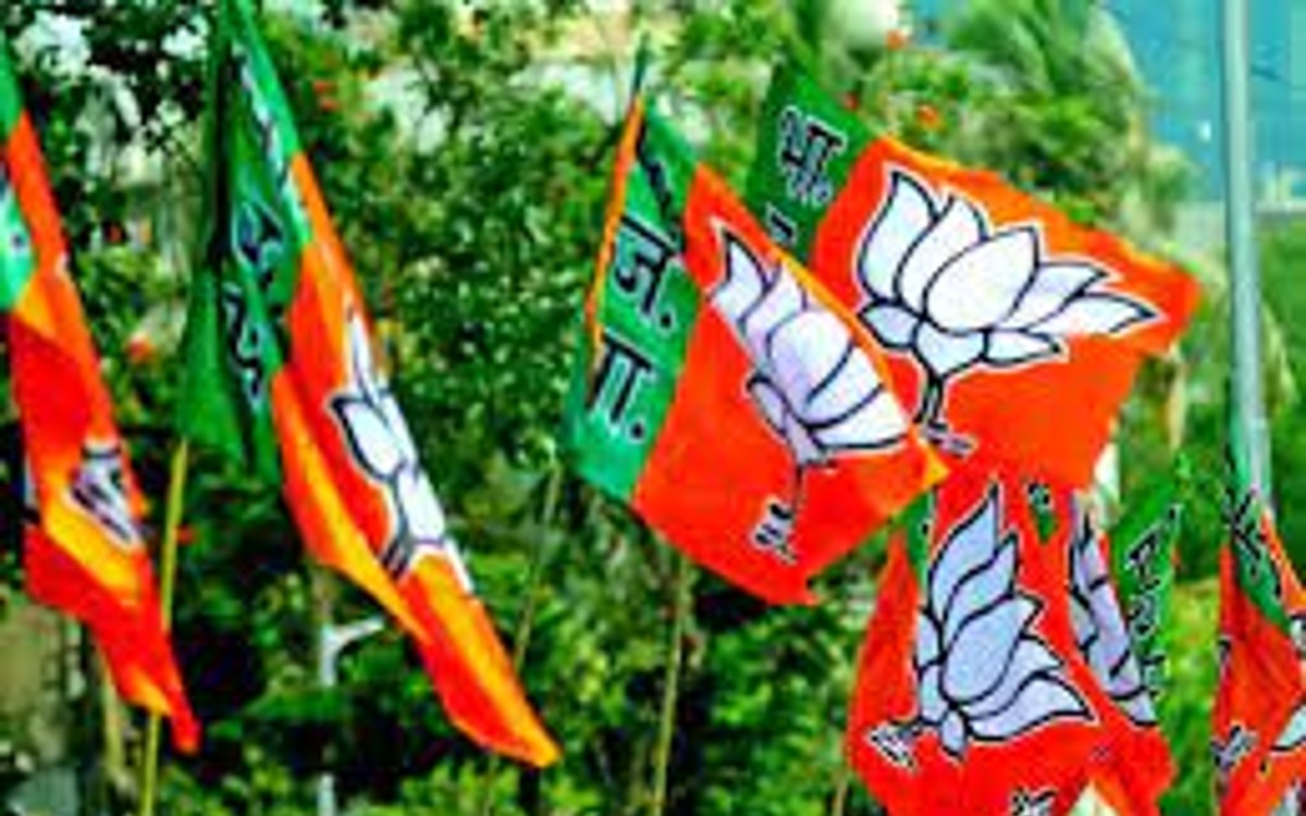Saffron Flag May Become National Flag In Future
