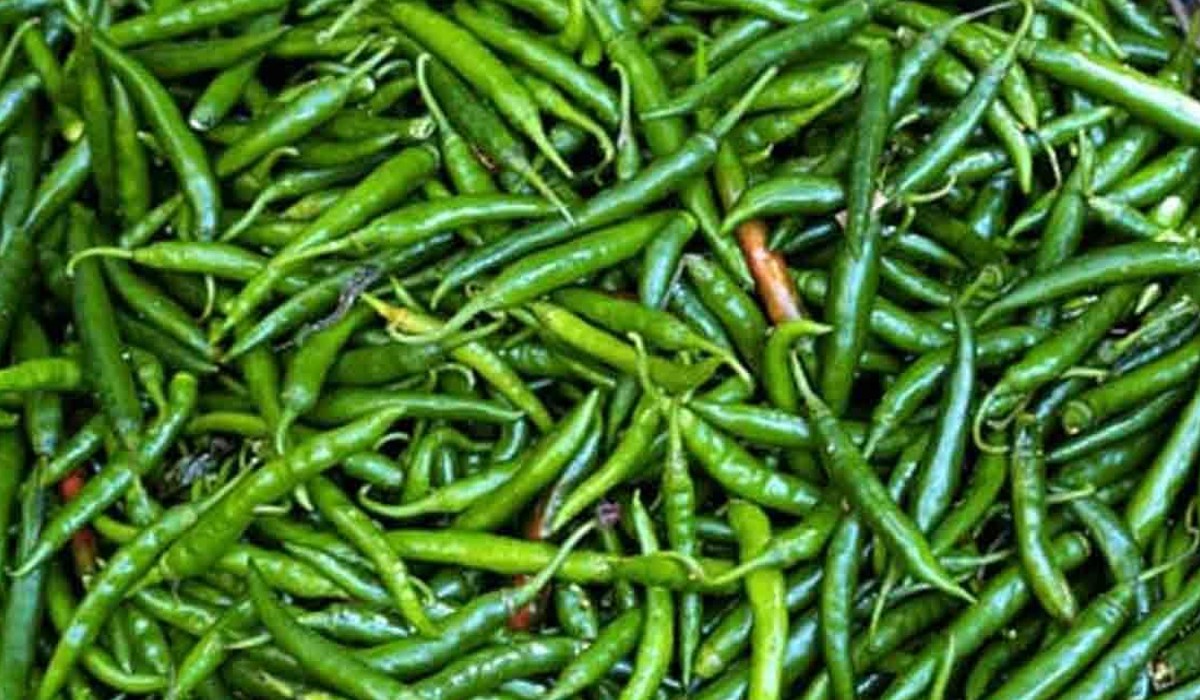 green chilli halwa going viral on social media