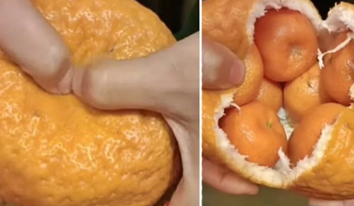 People of Netpara find ‘pregnant orange’! 6-8 more inside one Bizarre Orange Video Goes Viral