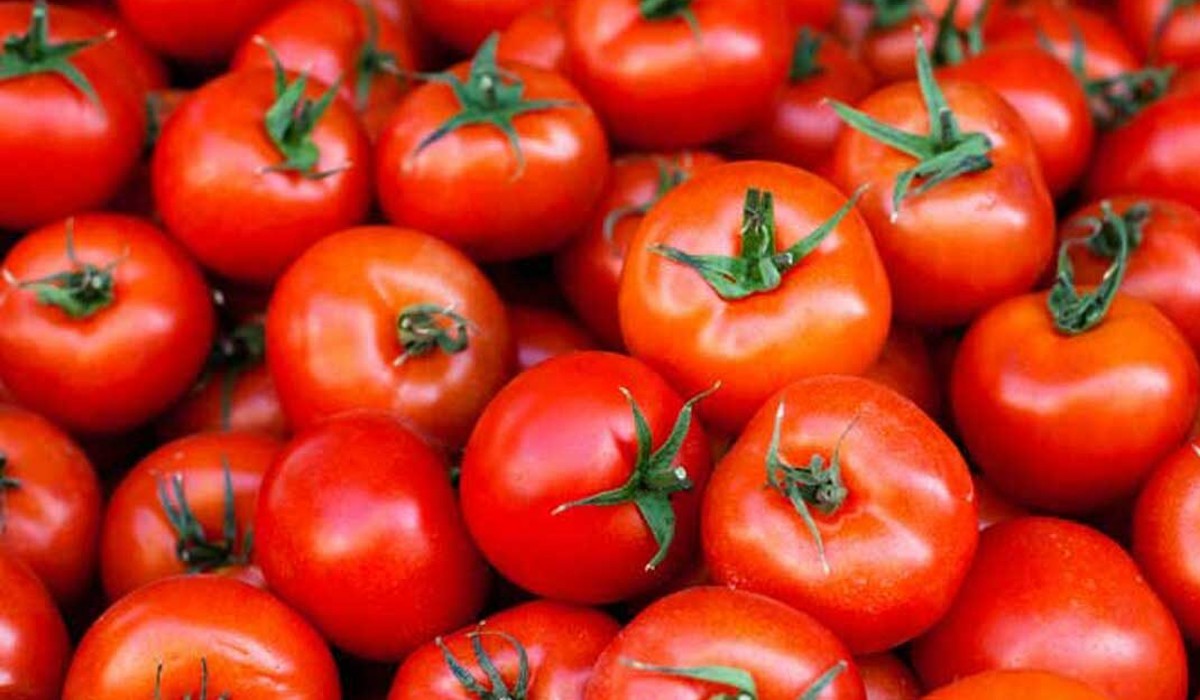 health benefits about eating tomato in early morning