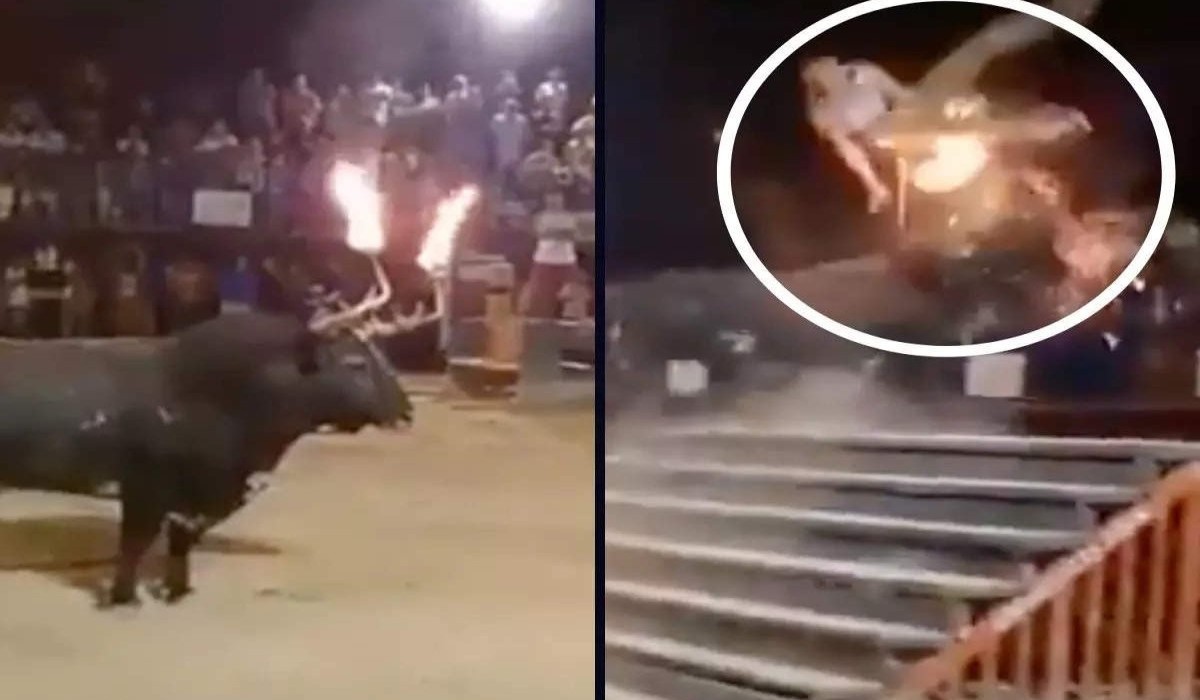 bull flips man in fire bull festival of spain