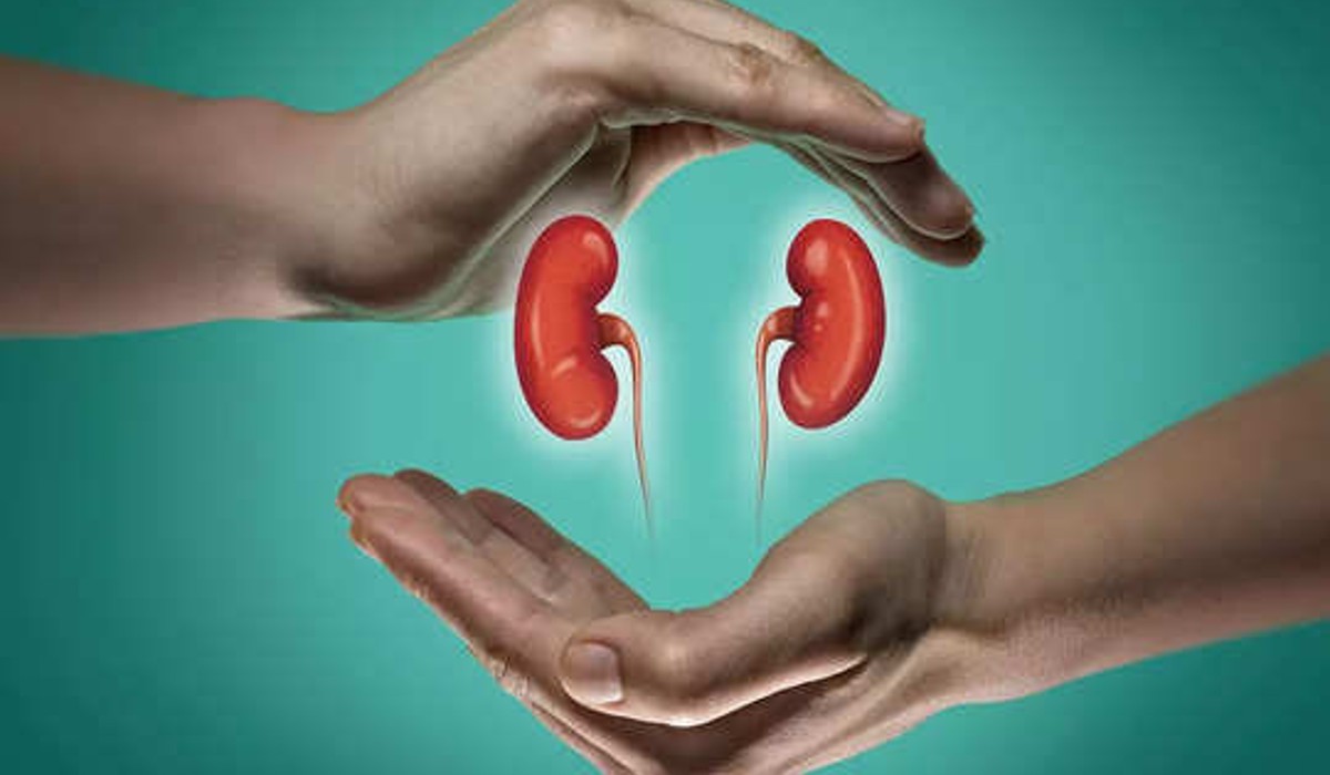 health-tips-about-detecting-stones-in-kidneys