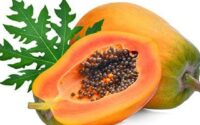 health tips about papaya fruit